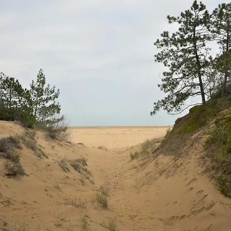 Villa Comfort And Privacy With Fenced Garden In Lignano Riviera *